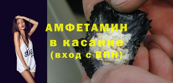 твердый Мегион