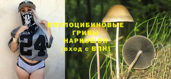 твердый Мегион