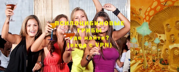 твердый Мегион
