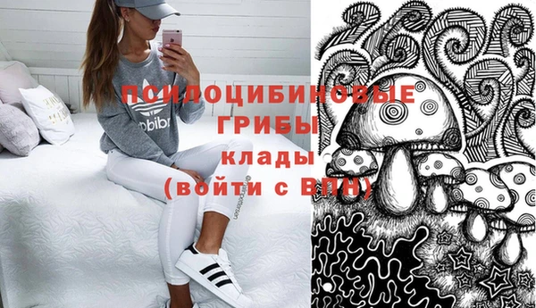 твердый Мегион