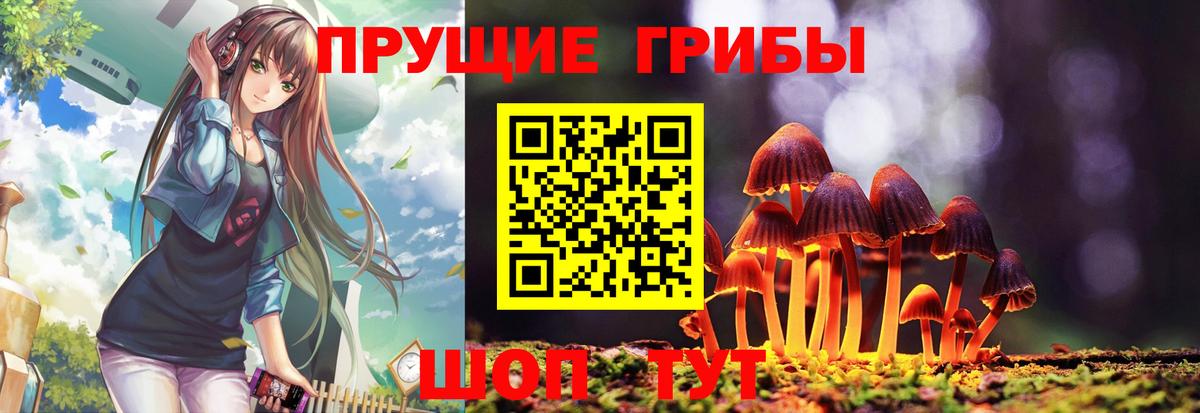 Псилоцибиновые грибы Psilocybine cubensis Батайск
